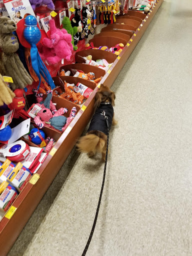 Pet Supply Store «PetSmart», reviews and photos, 114 Commerce Way, Woburn, MA 01801, USA