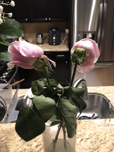 Florist «Guadalajara Flowers», reviews and photos, 32 S White Rd, San Jose, CA 95127, USA