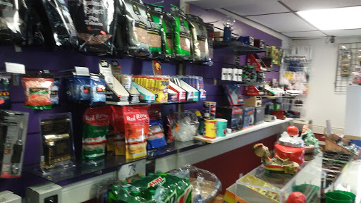 Tobacco Shop «One Love Tobacco & Gifts», reviews and photos, 7116 Gulf Blvd, St Pete Beach, FL 33706, USA
