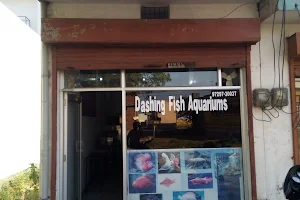 dashing fish aquarium जलकुंड (एक्वेरियम) image