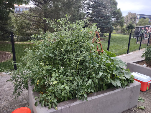 Park «Commons Park», reviews and photos, 2101 15th St, Denver, CO 80202, USA