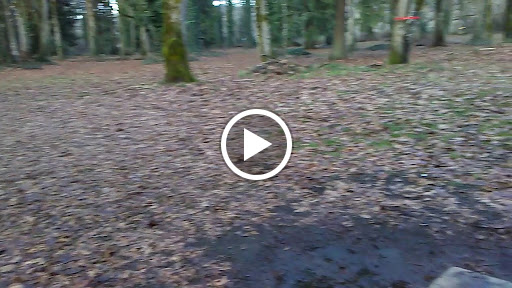 Golf Course «Riverside Disc Golf Course», reviews and photos, 7926 Riverside Rd E, Sumner, WA 98390, USA