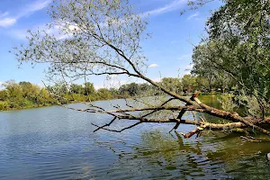 Jezero Savica image