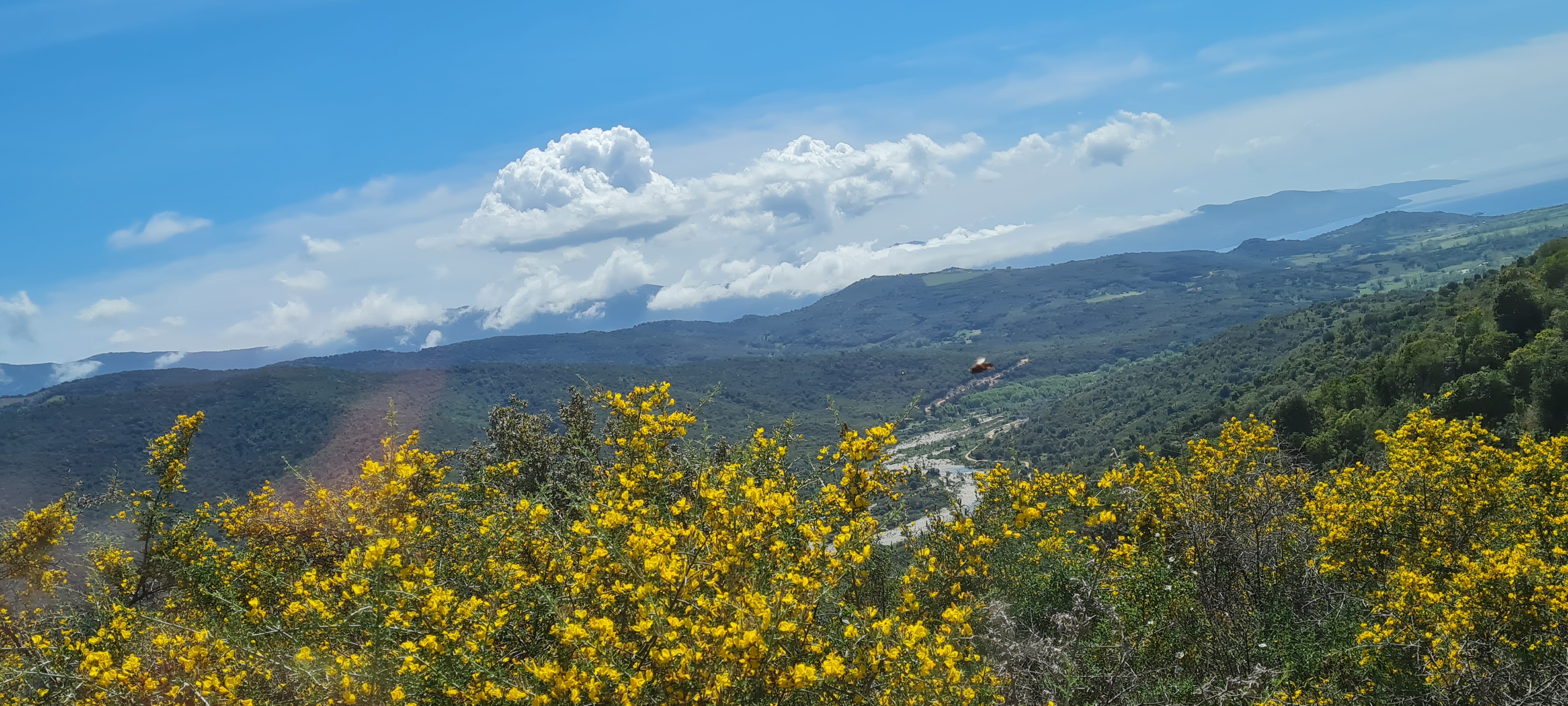 Photo n° 1 de l'avis de veronique.o fait le 27/04/2023 à 15:08