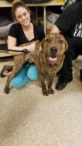 Pet Supply Store «PetSmart», reviews and photos, 3995 Welsh Rd, Willow Grove, PA 19090, USA