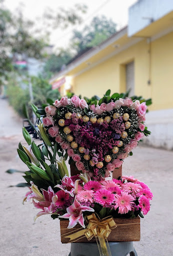 Floreria Jardin