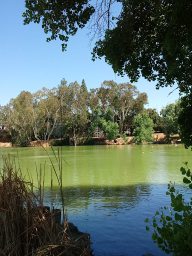 Fishing pond Concord