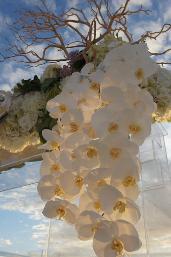 Florist «Grace Lakes Florist, Inc», reviews and photos, 997 5th Ave Pkwy, Naples, FL 34102, USA