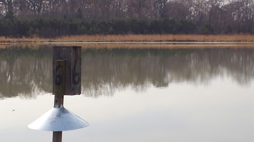 Nature Preserve «Wye Island Natural Resources Management Area», reviews and photos, 632 Wye Island Rd, Queenstown, MD 21658, USA