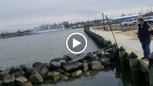 Tourist Attraction «Choptank River Lighthouse», reviews and photos, 100 High St, Cambridge, MD 21613, USA