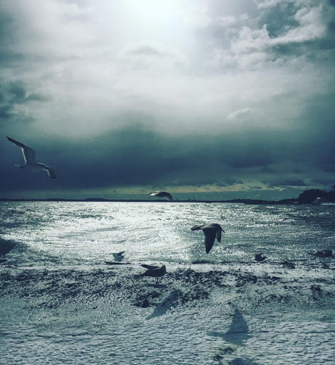 Wine Store «Woodland Hills Wine Company», reviews and photos, 22622 Ventura Blvd, Woodland Hills, CA 91364, USA