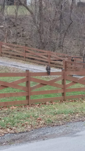 Nature Preserve «Shannondale Springs Wildlife Management Area», reviews and photos, Co Rte 9/5, Harpers Ferry, WV 25425, USA