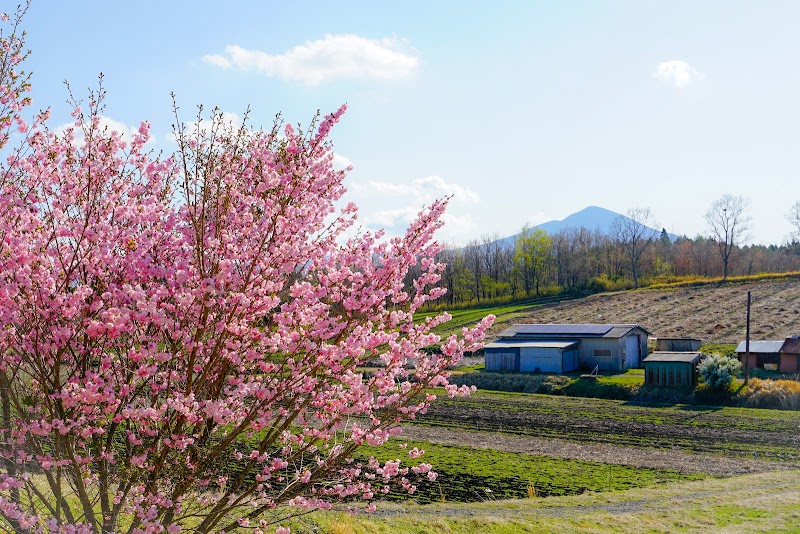 首藤農園直売所