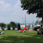 Photo n°2 de l'avis de Stefano.a fait le 19/07/2018 à 15:24 sur le  Nautica Tarello à Viverone