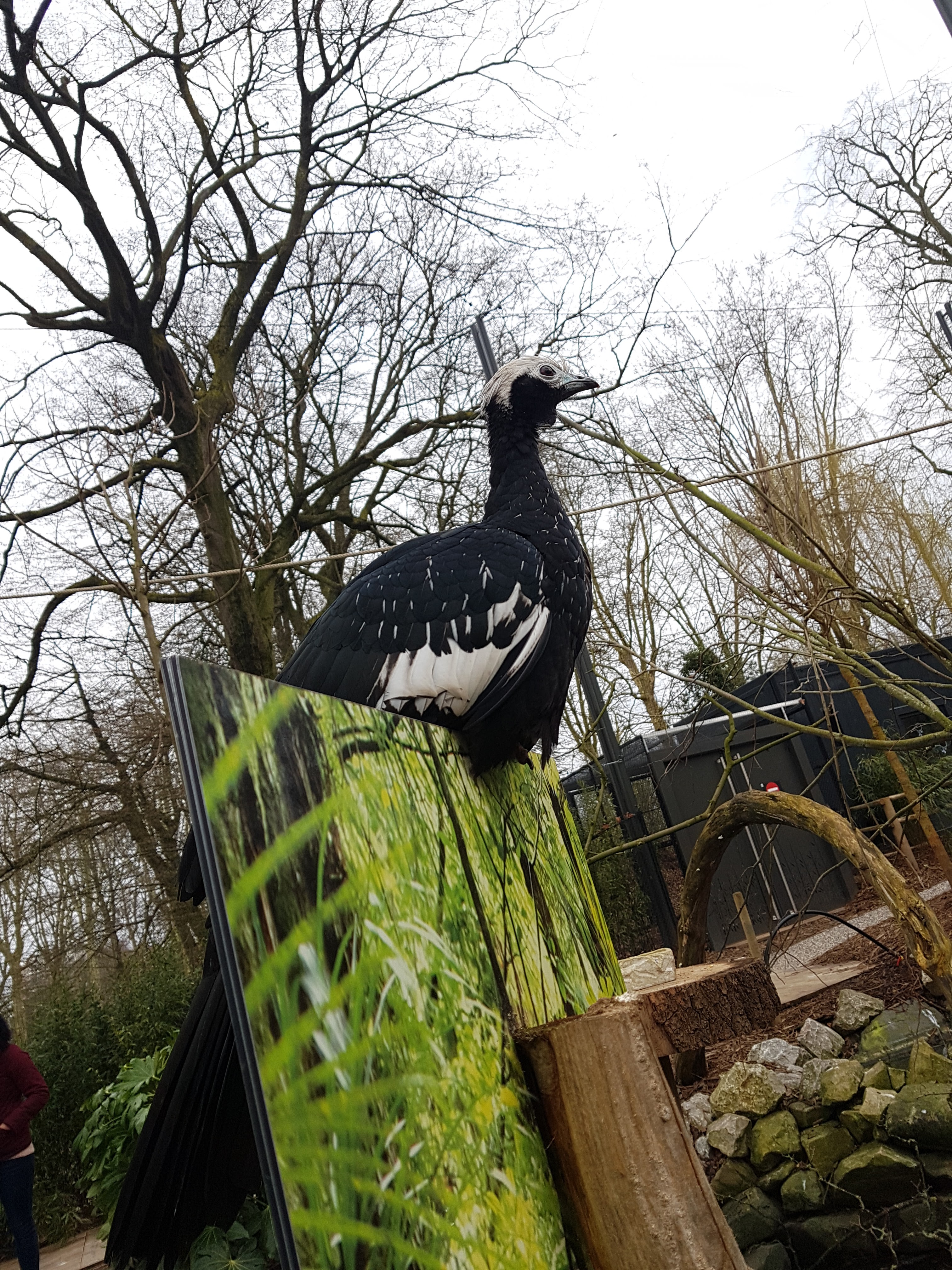 Photo n° 1 de l'avis de Mathilde.a fait le 18/04/2018 à 07:26