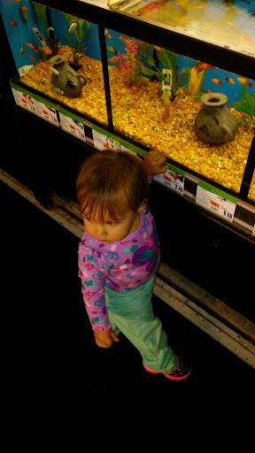 Pet Supply Store «Pet Supplies Plus», reviews and photos, 1268 N Eisenhower Dr, Beckley, WV 25801, USA