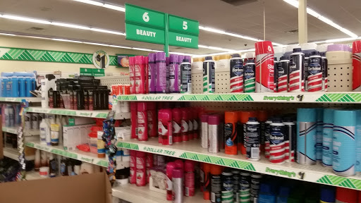 Dollar Store «Dollar Tree», reviews and photos, 1022 Mineral Wells Ave, Paris, TN 38242, USA