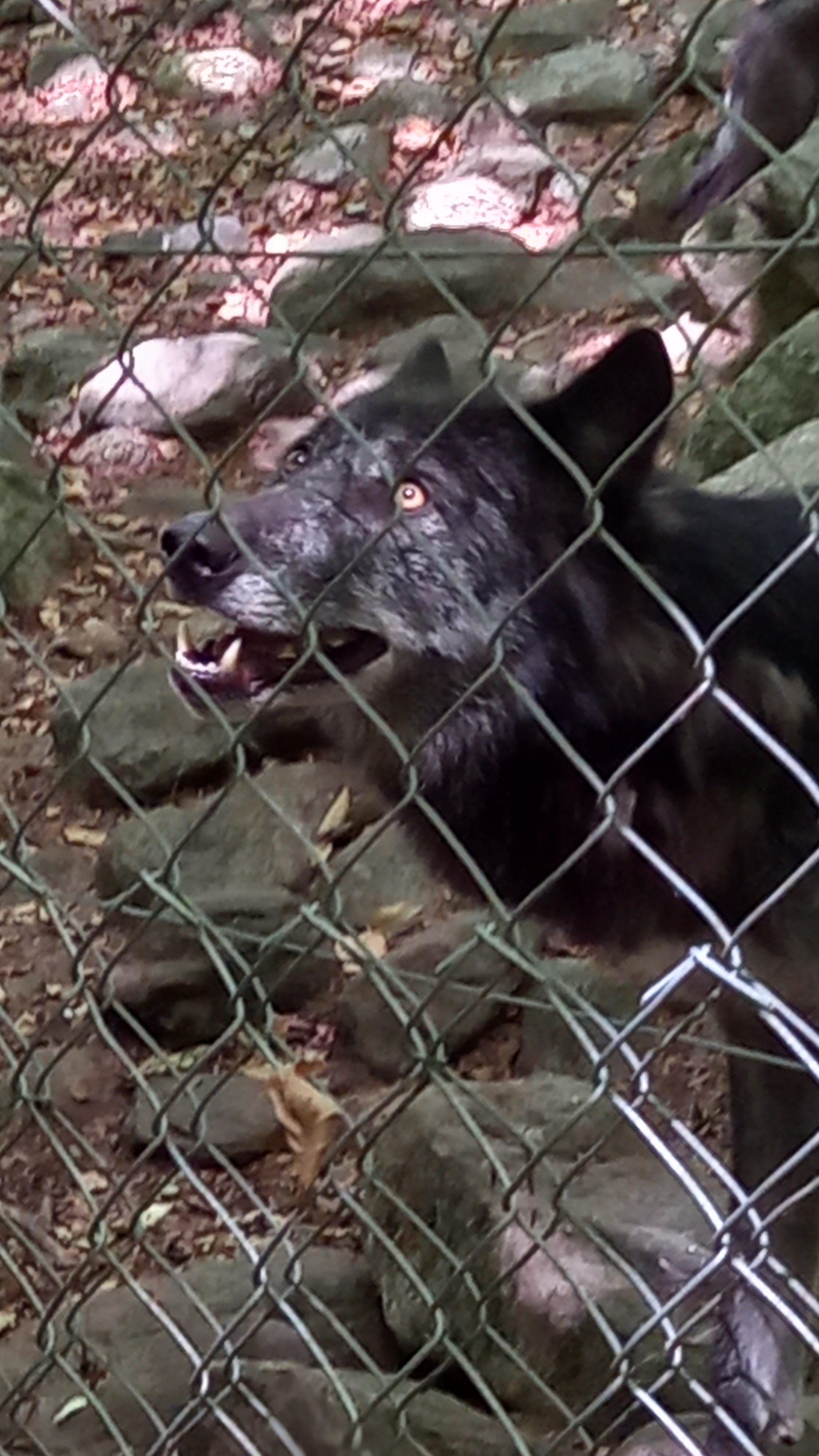 Photo n° 2 de l'avis de HENRY.O fait le 27/07/2022 à 15:59