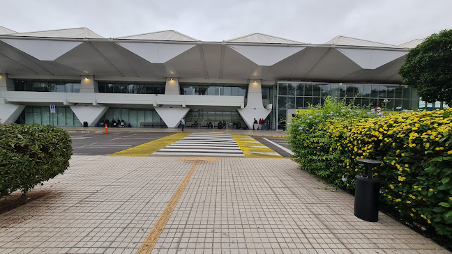 Opiniones de Avis - Aeropuerto Antofagasta en Antofagasta - Agencia de alquiler de autos