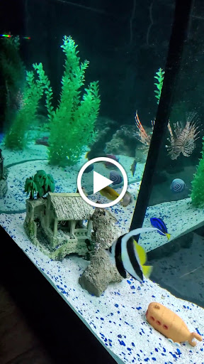 Auto Insurance Agency «Eric Stewarts Insurance Agency», reviews and photos