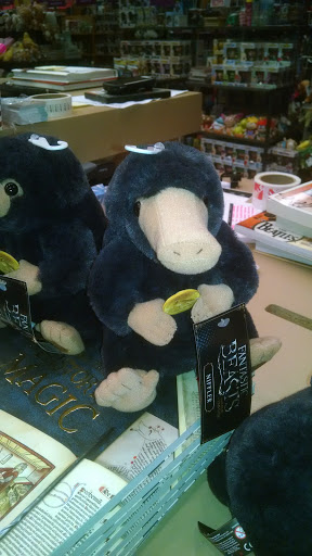 Book Store «Books-A-Million», reviews and photos, 4030 Commonwealth Ave, Eau Claire, WI 54701, USA