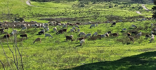 Nature Preserve «Mare Island Shoreline Heritage Preserve», reviews and photos, 1595 Railroad Ave, Vallejo, CA 94592, USA