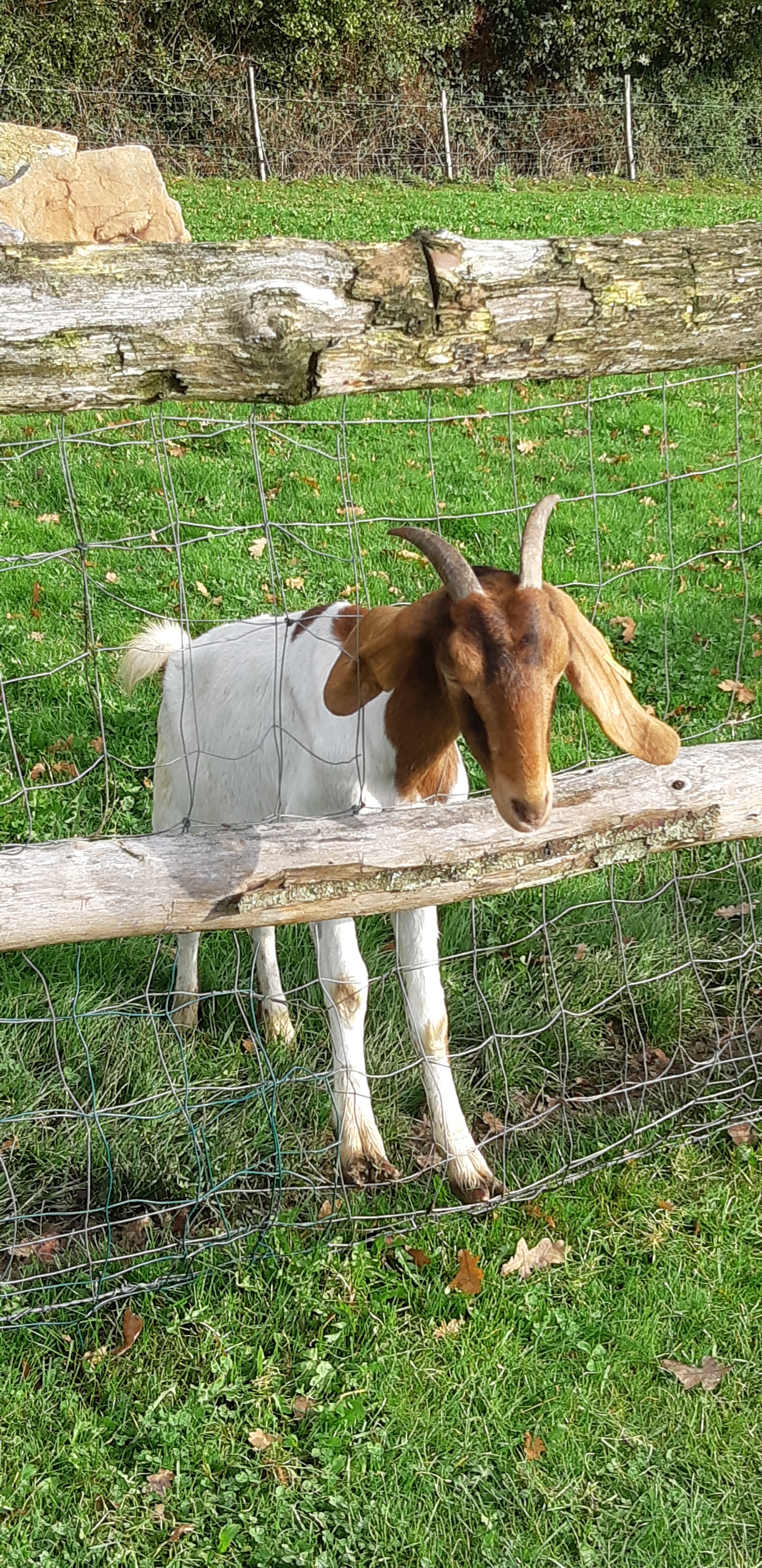 Photo n° 12 de l'avis de Yannick.a fait le 27/10/2019 à 14:17