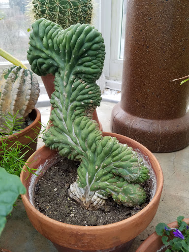 Art Museum «The Frick», reviews and photos, 7227 Reynolds St, Pittsburgh, PA 15208, USA