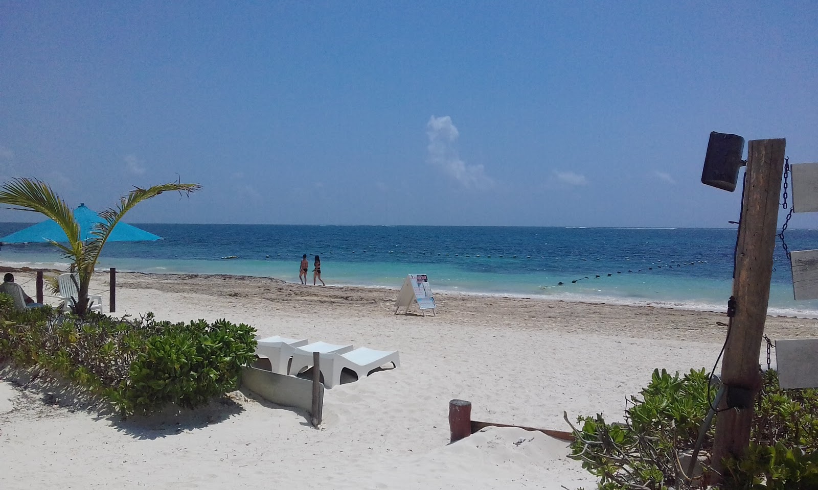 Excellence Riviera Cancun的照片 带有长直海岸