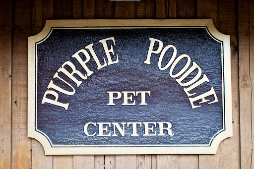 Pet Groomer «Purple Poodle Pet Center», reviews and photos, 3000 N University Dr, Coral Springs, FL 33065, USA
