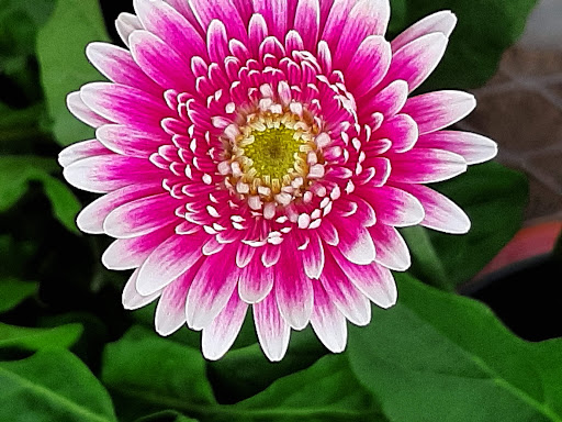 Home Improvement Store «The Home Depot», reviews and photos, 909 W McDermott Dr, Allen, TX 75013, USA