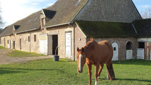 Les Clotins - Centre Equestre à Beauche