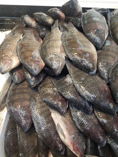 Asian Grocery Store «Shun Fat Supermarket», reviews and photos, 2368 San Pablo Ave, San Pablo, CA 94806, USA