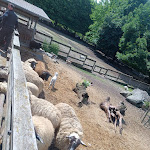 Photo n°28 de l'avis de Armando. fait le 03/08/2023 à 19:35 sur le  Agriturismo Fattoria Pasqué à Casale Litta