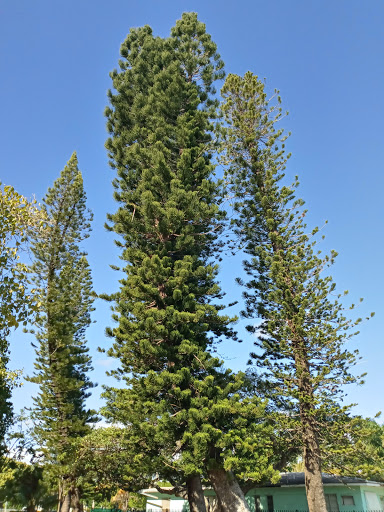 Park «Flamingo Park», reviews and photos, 1200 Meridian Ave, Miami Beach, FL 33139, USA