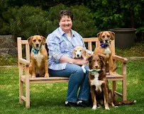 Side By Side Dog Training - Car repair in , Salt Lake City - Rated 4.8/5