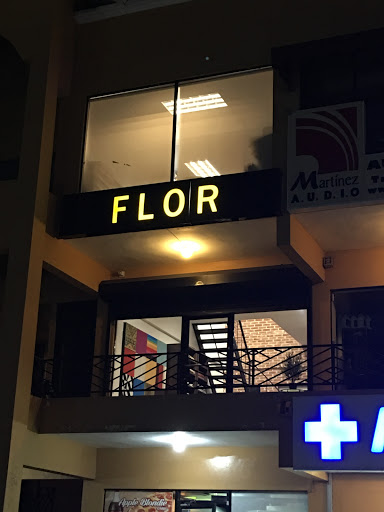 Alfombras FLOR Store Santo Domingo