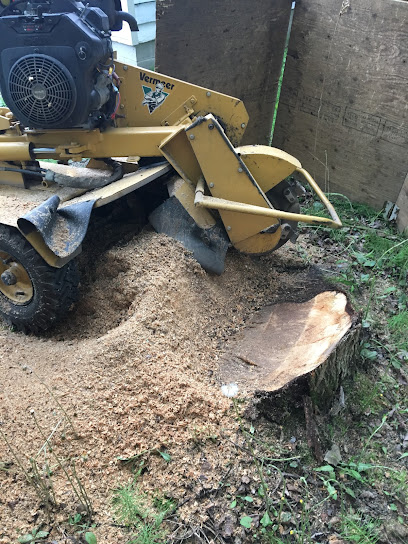 1-2-3 Stump Removal / Best Prices / Free Quotes!