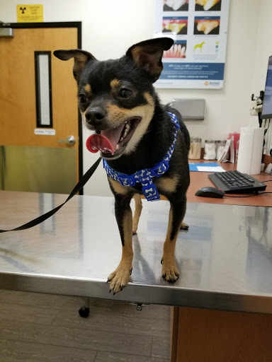 Pet Supply Store «PetSmart», reviews and photos, 5521 Mirage St, Yorba Linda, CA 92887, USA