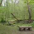 Mason-Dixon Line Monument