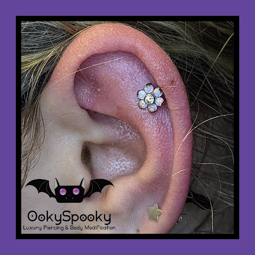 Comments and reviews of OokySpooky Luxury Piercing and Mods