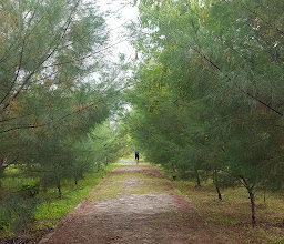 Hutan Kota Pakal photo