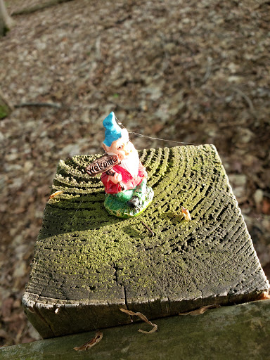 Nature Preserve «Beaver Meadow Audubon Center», reviews and photos, 1610 Welch Rd, Java Center, NY 14082, USA