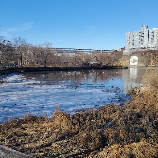 Park «Inwood Hill Park», reviews and photos, Dyckman St, New York, NY 10452, USA