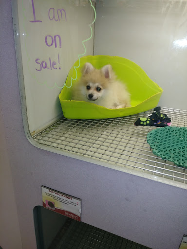 Pet Supply Store «Petland», reviews and photos, 6126 Northwest Hwy, Crystal Lake, IL 60014, USA