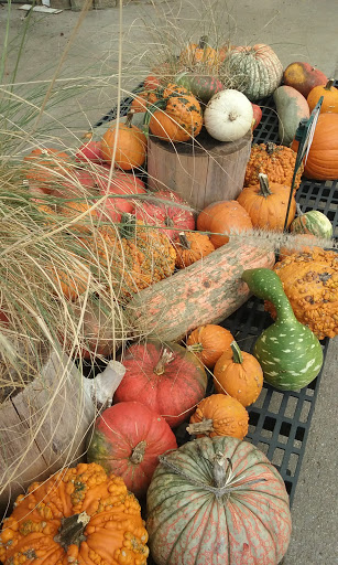 Hardware Store «Ace Hardware & Garden Center», reviews and photos, 20277 Wirt St, Elkhorn, NE 68022, USA