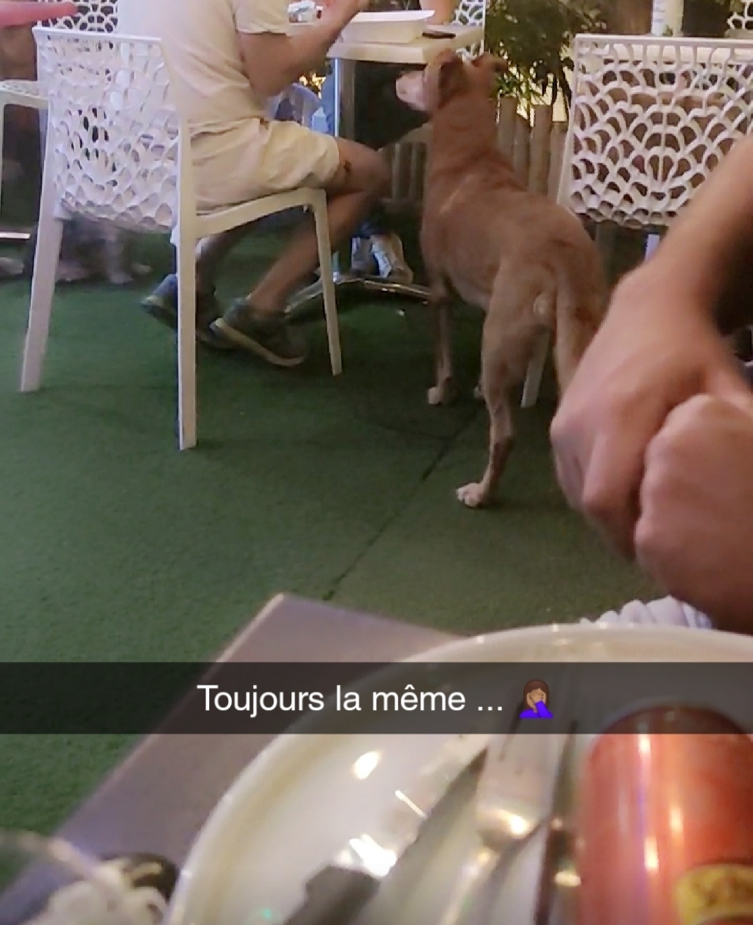 Photo n° 1 de l'avis de Meigane.. fait le 09/09/2021 à 20:52