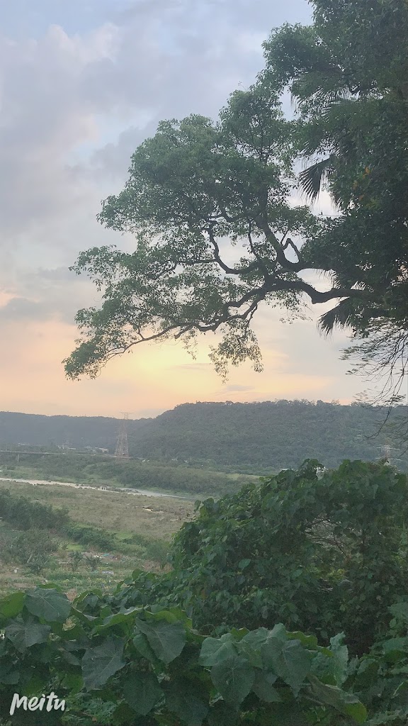 清心福全 大溪復興店 的照片