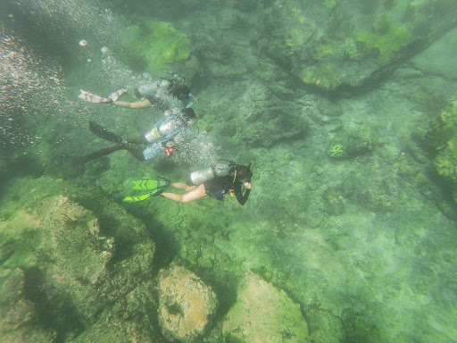 Dive Shop «Sea Experience Glassbottom Snorkel and Dive Tours», reviews and photos, 801 Seabreeze Blvd, Fort Lauderdale, FL 33316, USA