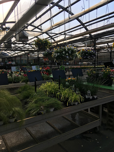 Garden Center «Dees Nursery & Florist», reviews and photos, 69 Atlantic Ave, Oceanside, NY 11572, USA